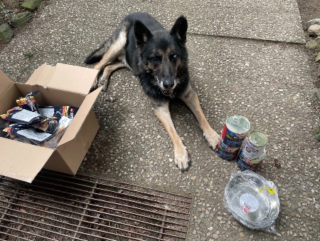 Německý ovčák v nouzi, z.s.